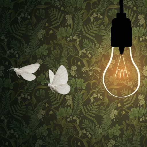 White moths gathering around a glowing bulb in a botanical night scene